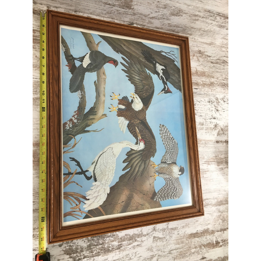 James Kukrul Wildlife Print Signed & Framed Eagle Crane Woodpecker 22x27 - Picture 14 of 16